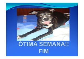 Anamnese e-exame-fisico