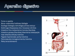 Fome e apetite
Boca—sialorréia/halitose/disfagia
Esofago-Disfagia/odinofagia/pirose/soluço
Estõmago-Dispepsias/dor/náuseas/võmitos
Intestino fino-meteorismo/roncos/diarréias
Intestino grosso;Diarréias/disenteria/obstipação
Vias biliares;cólicas/icterícia
Fígado-hipertensão porta/icterícia
Pancreas;dor/emagrecimento/icterícia
Reto/anus:tenesmo
 