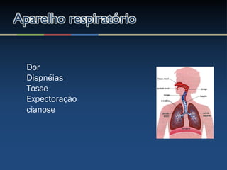 Dor
Dispnéias
Tosse
Expectoração
cianose
 