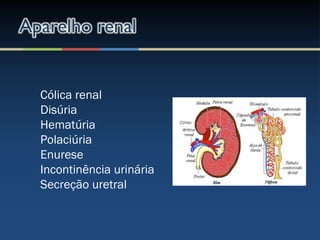 Cólica renal
Disúria
Hematúria
Polaciúria
Enurese
Incontinência urinária
Secreção uretral
 