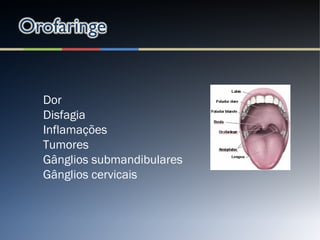 Dor
Disfagia
Inflamações
Tumores
Gânglios submandibulares
Gânglios cervicais
 