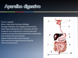 Fome e apetite
Boca—sialorréia/halitose/disfagia
Esofago-Disfagia/odinofagia/pirose/soluço
Estõmago-Dispepsias/dor/náuseas/võmitos
Intestino fino-meteorismo/roncos/diarréias
Intestino grosso;Diarréias/disenteria/obstipação
Vias biliares;cólicas/icterícia
Fígado-hipertensão porta/icterícia
Pancreas;dor/emagrecimento/icterícia
Reto/anus:tenesmo
 