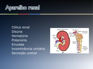 Cólica renal
Disúria
Hematúria
Polaciúria
Enurese
Incontinência urinária
Secreção uretral
 
