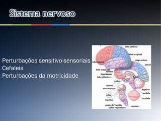 Perturbações sensitivo-sensoriais
Cefaleia
Perturbações da motricidade
 