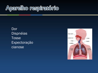 Dor
Dispnéias
Tosse
Expectoração
cianose
 