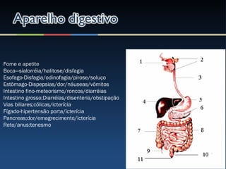 Fome e apetite
Boca—sialorréia/halitose/disfagia
Esofago-Disfagia/odinofagia/pirose/soluço
Estõmago-Dispepsias/dor/náuseas/võmitos
Intestino fino-meteorismo/roncos/diarréias
Intestino grosso;Diarréias/disenteria/obstipação
Vias biliares;cólicas/icterícia
Fígado-hipertensão porta/icterícia
Pancreas;dor/emagrecimento/icterícia
Reto/anus:tenesmo
 