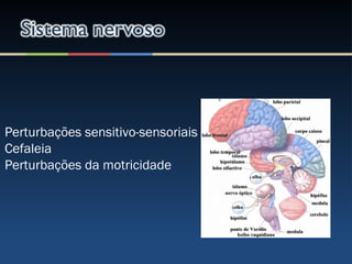 Perturbações sensitivo-sensoriais
Cefaleia
Perturbações da motricidade
 