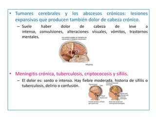 • Tumores cerebrales y los abscesos crónicos: lesiones
  expansivas que producen también dolor de cabeza crónico.
   – Suele     haber     dolor      de    cabeza     de     leve     a
     intenso, convulsiones, alteraciones visuales, vómitos, trastornos
     mentales.




• Meningitis crónica, tuberculosis, criptococosis y sífilis.
   – El dolor es: sordo o intenso. Hay fiebre moderada, historia de sífilis o
     tuberculosis, delirio o confusión.
 