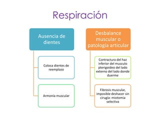 Respiración
                         Desbalance
Ausencia de
                         muscular o
  dientes
                      patología articular

                           Contractura del haz
                          inferior del musculo
  Coloca dientes de
                          pterigoideo del lado
     reemplazo
                         externo del lado donde
                                 duerme



                            Fibrosis muscular,
                          imposible deshacer sin
 Armonía muscular
                            cirugía: miotomia
                                 selectiva
 