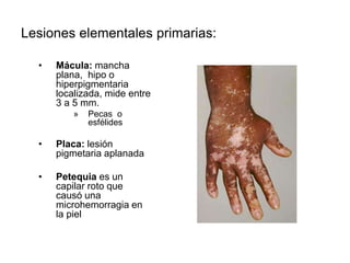 La anamnesis es el proceso de la exploración clínica | PPT