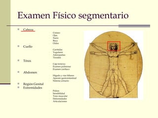Examen Físico segmentario 
 Cabeza 
- Cráneo 
- Ojos 
- Nariz 
- Boca 
- Oídos 
 Cuello 
- Carótidas 
- Yugulares 
- Adenopatías 
- Tiroides 
 Tórax 
- Caja torácica 
- Examen pulmonar 
- Examen cardiaco 
 Abdomen 
- Hígado y vías biliares 
- Aparato gastrointestinal 
- Sistema urinario 
 Región Genital 
 Extremidades 
- Pulsos 
- Sensibilidad 
- Tono muscular 
- Deformidades 
- Articulaciones 
 