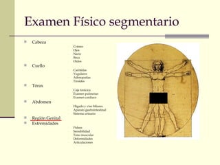 Examen Físico segmentario 
 Cabeza 
- Cráneo 
- Ojos 
- Nariz 
- Boca 
- Oídos 
 Cuello 
- Carótidas 
- Yugulares 
- Adenopatías 
- Tiroides 
 Tórax 
- Caja torácica 
- Examen pulmonar 
- Examen cardiaco 
 Abdomen 
- Hígado y vías biliares 
- Aparato gastrointestinal 
- Sistema urinario 
 Región Genital 
 Extremidades 
- Pulsos 
- Sensibilidad 
- Tono muscular 
- Deformidades 
- Articulaciones 
 
