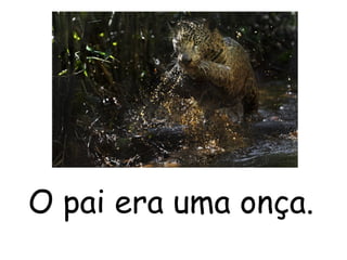 O pai era uma onça.
 