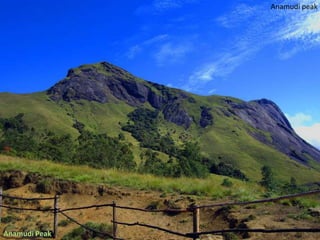 Anamudi peak

 