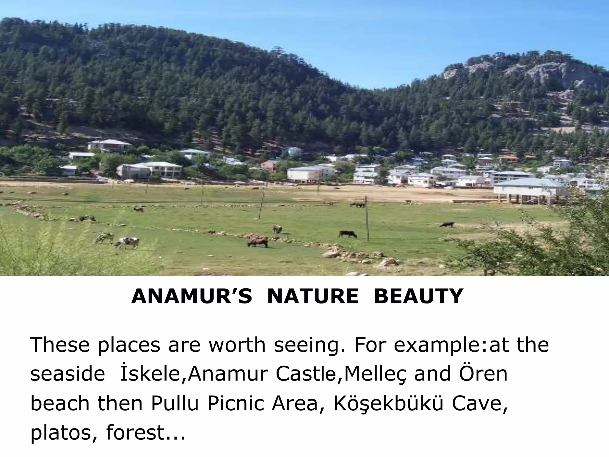 ANAMUR’S NATURE BEAUTY
These places are worth seeing. For example:at the
seaside İskele,Anamur Castle,Melleç and Ören
beach then Pullu Picnic Area, Köşekbükü Cave,
platos, forest...
 
