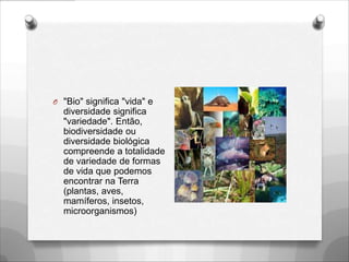 O "Bio" significa "vida" e
  diversidade significa
  "variedade". Então,
  biodiversidade ou
  diversidade biológica
  compreende a totalidade
  de variedade de formas
  de vida que podemos
  encontrar na Terra
  (plantas, aves,
  mamíferos, insetos,
  microorganismos)
 