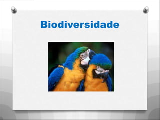 Biodiversidade
 