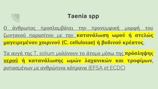 Taenia spp
Ο άνθρωπος προσλαμβάνει την προνυμφική μορφή του
ζωντανού παρασίτου με την κατανάλωση ωμού ή ατελώς
μαγειρεμένου χοιρινού (C. cellulosae) ή βοδινού κρέατος.
Τα αυγά της T. solium μολύνουν το άτομο μέσω της πρόσληψης
νερού ή κατανάλωσης ωμών λαχανικών και τροφίμων,
ρυπασμένων με ανθρώπινα κόπρανα (EFSA et ECDC)
 