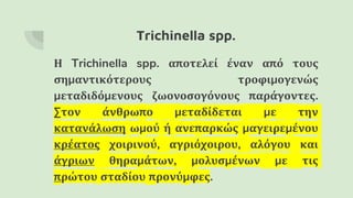 Trichinella spp.
Η Trichinella spp. αποτελεί έναν από τους
σημαντικότερους τροφιμογενώς
μεταδιδόμενους ζωονοσογόνους παράγοντες.
Στον άνθρωπο μεταδίδεται με την
κατανάλωση ωμού ή ανεπαρκώς μαγειρεμένου
κρέατος χοιρινού, αγριόχοιρου, αλόγου και
άγριων θηραμάτων, μολυσμένων με τις
πρώτου σταδίου προνύμφες.
 