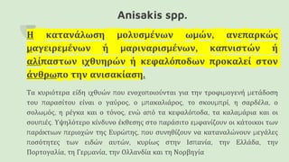 Anisakis spp.
Η κατανάλωση μολυσμένων ωμών, ανεπαρκώς
μαγειρεμένων ή μαριναρισμένων, καπνιστών ή
αλίπαστων ιχθυηρών ή κεφαλόποδων προκαλεί στον
άνθρωπο την ανισακίαση.
Τα κυριότερα είδη ιχθυών που ενοχοποιούνται για την τροφιμογενή μετάδοση
του παρασίτου είναι ο γαύρος, ο μπακαλιάρος, το σκουμπρί, η σαρδέλα, ο
σολωμός, η ρέγκα και ο τόνος, ενώ από τα κεφαλόποδα, τα καλαμάρια και οι
σουπιές. Υψηλότερο κίνδυνο έκθεσης στο παράσιτο εμφανίζουν οι κάτοικοι των
παράκτιων περιοχών της Ευρώπης, που συνηθίζουν να καταναλώνουν μεγάλες
ποσότητες των ειδών αυτών, κυρίως στην Ισπανία, την Ελλάδα, την
Πορτογαλία, τη Γερμανία, την Ολλανδία και τη Νορβηγία
 