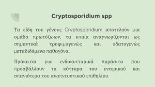 Cryptosporidium spp
Τα είδη του γένους Cryptosporidium αποτελούν μια
ομάδα πρωτόζωων, τα οποία αναγνωρίζονται ως
σημαντικά τροφιμογενώς και υδατογενώς
μεταδιδόμενα παθογόνα.
Πρόκειται για ενδοκυτταρικά παράσιτα που
προσβάλλουν τα κύτταρα του εντερικού και
σπανιότερα του αναπνευστικού επιθηλίου.
 