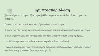 Κρυπτοσποριδίωση
Στον άνθρωπο το πρωτόζωο προσβάλλει κυρίως τα επιθηλιακά κύτταρα του
εντέρου.
Γενικά, η καταστροφή των κυττάρων είναι αποτέλεσμα:
1. της εγκατάστασης, του πολλαπλασιασμού του πρωτοζώου μέσα στο κύτταρο
2. των μηχανισμών της κυτταρικής ανοσίας (ενεργοποίηση μακροφάγων,
ελευθέρωση κυτταροκινών και αντιμικροβιακών πεπτιδίων)
Γενικά παρατηρούνται έντονη υδαρής διάρροια, κοιλιακό άλγος, κόπωση, έμετος,
αφυδάτωσηη, απώλεια βάρους και πυρετός
 