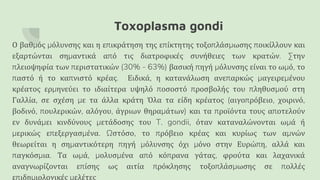 Toxoplasma gondi
Ο βαθμός μόλυνσης και η επικράτηση της επίκτητης τοξοπλάσμωσης ποικίλλουν και
εξαρτώνται σημαντικά από τις διατροφικές συνήθειες των κρατών. Στην
πλειοψηφία των περιστατικών (30% - 63%) βασική πηγή μόλυνσης είναι το ωμό, το
παστό ή το καπνιστό κρέας. Ειδικά, η κατανάλωση ανεπαρκώς μαγειρεμένου
κρέατος ερμηνεύει το ιδιαίτερα υψηλό ποσοστό προσβολής του πληθυσμού στη
Γαλλία, σε σχέση με τα άλλα κράτη Όλα τα είδη κρέατος (αιγοπρόβειο, χοιρινό,
βοδινό, πουλερικών, αλόγου, άγριων θηραμάτων) και τα προϊόντα τους αποτελούν
εν δυνάμει κινδύνους μετάδοσης του T. gondii, όταν καταναλώνονται ωμά ή
μερικώς επεξεργασμένα. Ωστόσο, το πρόβειο κρέας και κυρίως των αμνών
θεωρείται η σημαντικότερη πηγή μόλυνσης όχι μόνο στην Ευρώπη, αλλά και
παγκόσμια. Τα ωμά, μολυσμένα από κόπρανα γάτας, φρούτα και λαχανικά
αναγνωρίζονται επίσης ως αιτία πρόκλησης τοξοπλάσμωσης σε πολλές
επιδημιολογικές μελέτες
 