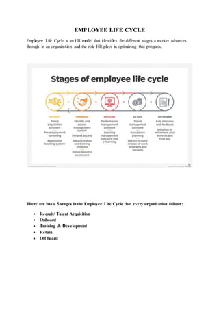An analyis on employee life cycle(1) | DOCX