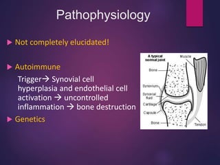 Pathophysiology
 Not completely elucidated!
 Autoimmune
Trigger Synovial cell
hyperplasia and endothelial cell
activation  uncontrolled
inflammation  bone destruction
 Genetics
 