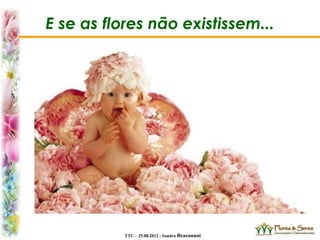 TTC – 25.08.2012 : Sandra Braconnot
E se as flores não existissem...
 