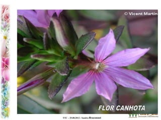 TTC – 25.08.2012 : Sandra Braconnot
 