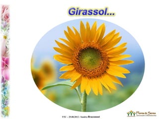 TTC – 25.08.2012 : Sandra Braconnot
 