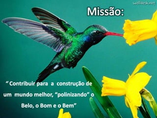 TTC – 25.08.2012 : Sandra Braconnot
 