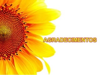 TTC – 25.08.2012 : Sandra Braconnot
 