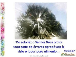 TTC – 25.08.2012 : Sandra Braconnot
 