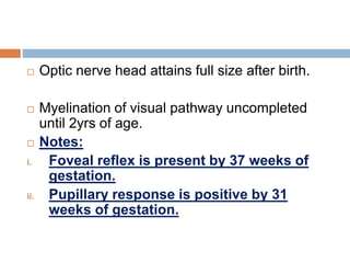 Anand development of vision in children | PPTX
