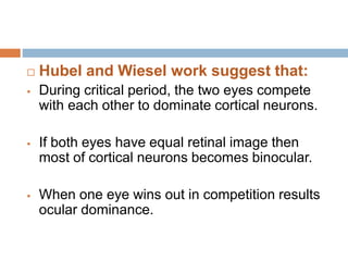 Anand development of vision in children | PPTX