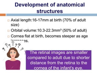 Normal Antrum Visual Anand development of vision in children | PPTX