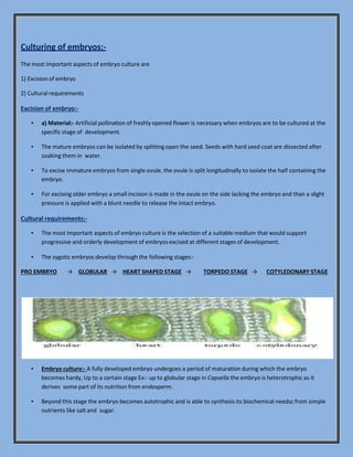 Culturing of embryos:-
The most important aspects of embryo culture are
1) Excision of embryo
2) Cultural requirements
Excision of embryo:-
▪ a) Material:- Artificial pollination of freshly opened flower is necessary when embryos are to be cultured at the
specific stage of development.
▪ The mature embryos can be isolated by splitting open the seed. Seeds with hard seed coat are dissected after
soaking them in water.
▪ To excise immature embryos from single ovule, the ovule is split longitudinally to isolate the half containing the
embryo.
▪ For excising older embryo a small incision is made in the ovule on the side lacking the embryo and than a slight
pressure is applied with a blunt needle to release the intact embryo.
Cultural requirements:-
▪ The most important aspects of embryo culture is the selection of a suitable medium that would support
progressive and orderly development of embryos excised at different stages of development.
▪ The zygotic embryos develop through the following stages:-
PRO EMBRYO → GLOBULAR → HEART SHAPED STAGE → TORPEDO STAGE → COTYLEDONARY STAGE
▪ Embryo culture:- A fully developed embryo undergoes a period of maturation during which the embryo
becomes hardy, Up to a certain stage Ex:- up to globular stage in Capsella the embryo is heterotrophic as it
derives some part of its nutrition from endosperm.
▪ Beyond this stage the embryo becomes autotrophic and is able to synthesis its biochemical needsc from simple
nutrients like salt and sugar.
 