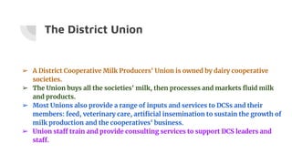 Anand pattern- simplified by Manvik Joshi | PPTX