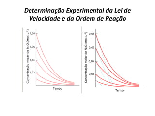 Determinação Experimental da Lei de
Velocidade e da Ordem de Reação
 
