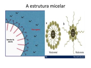 A estrutura micelar

 