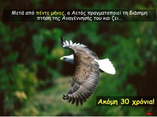 Μετά από πέντε μήνες, ο Αετός πραγματοποιεί τη διάσημη
         πτήση της Αναγέννησής του και ζει…




                                  Ακόμη 30 χρόνια!
 