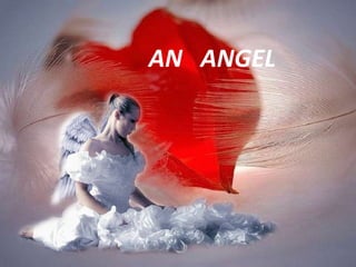 AN  ANGEL 