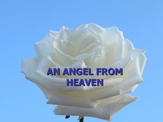 AN ANGEL FROM HEAVEN 