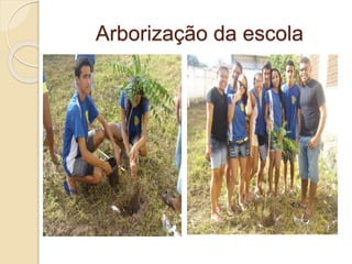 Arborização da escola
 