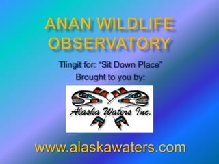 www.alaskawaters.com
 