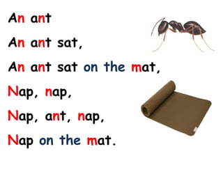 An ant | DOC