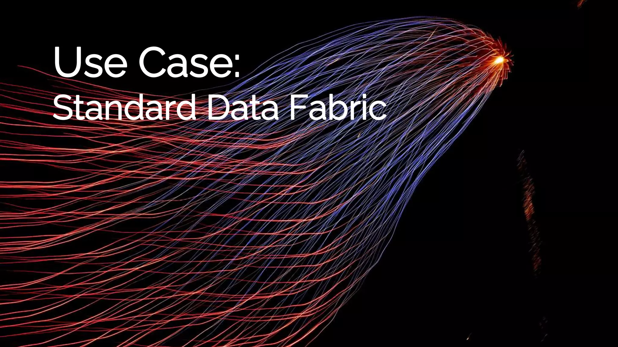 Use Case:
Standard Data Fabric
 