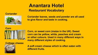Anantara Hotel
Restaurant Vocabulary
Coriander
Coriander leaves, seeds and powder are all used
to give flavor and taste in cooking.
Corn
Corn, or sweet corn (maize in the UK). Sweet
corn can be yellow, white, peaches and cream
or other colours. Used in many different ways in
many different styles of cooking.
Cottage cheese
A soft cream cheese which is often eaten with
different fruits.
 